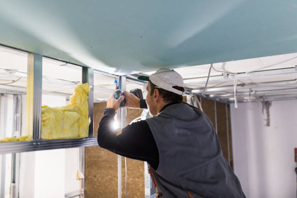 Best Specialized Insulation Services in Manistee, MI