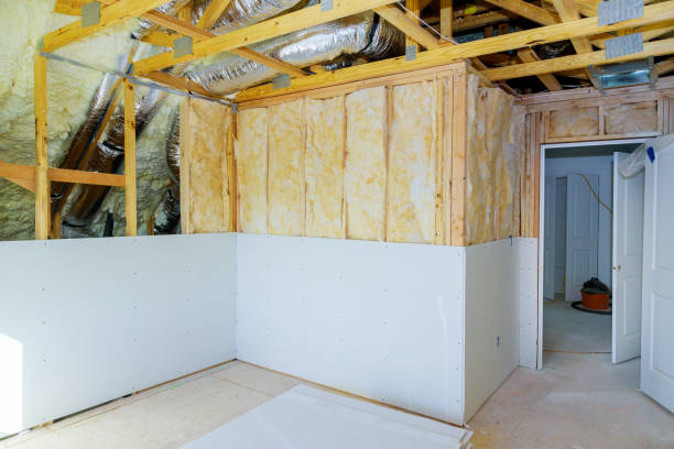 Best Residential Insulation in Manistee, MI