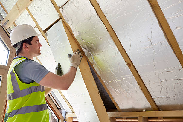 Best Insulation Maintenance and Repair in Manistee, MI