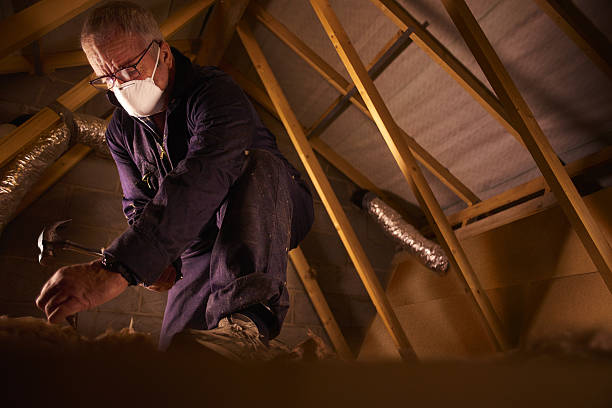 Best Cellulose Insulation in Manistee, MI